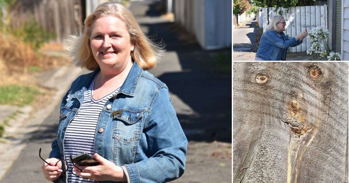 Sue Rawkins now loves finding art in her local streets.